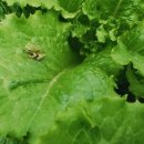 이정환농장 이미지