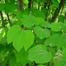 지하철 양산역 이미지