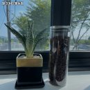 평동로-1L 이미지