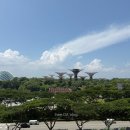 픽시코리아 | 싱가포르 여행 마리나베이샌즈 가든뷰 숙박 후기