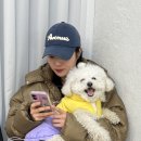 부천 중동 애견동반카페 소피아작업실 방문후기