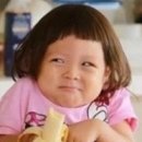 제이엑스포 네이버블로그