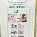 참다랑어막주는집 청주오창점 | 오창 아이랑 가볼만한 곳 고양이 카페 캣플