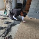 철원갈비 이미지