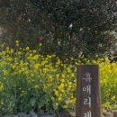 제주닷옴