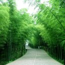 일로 수도사 이미지