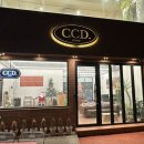 카페CCD 부산송도점 네이버블로그
