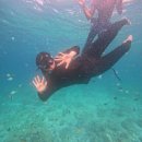 구룡포i할인클럽 | 세부 호핑투어 옥택연 옥태견 클럽세부호핑 내돈내산 후기 (패러세일링 예약)