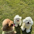 날아라슈퍼 이미지