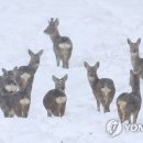 우현목장 이미지