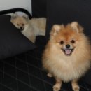 사천바다를품은펜션 이미지