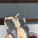 사직역 | 사직역 맛집 쌀빵맨, 부산 비건베이커리 빵집 찐추천 후기