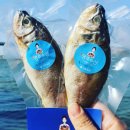 명주수산 이미지