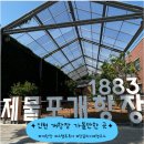 미미캣살롱&고양이호텔 | 인천 개항장 가볼만한 곳 추천 | 스탬프 투어 후기 + 당일치기 코스