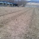 1호농장 이미지