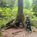 밸마운트3 이미지