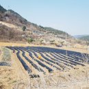 다래골농장 이미지