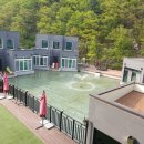 남이섬설리조트3 네이버블로그