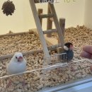 특별한 동물가게 광주점 이미지