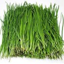 박철보비뇨기과의원 이미지