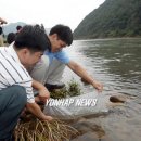 무주읍238 이미지