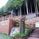 콜핑부산 이미지