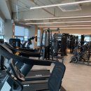 피티올로지 이미지