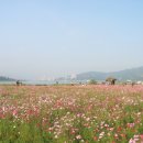 구리한강시민공원 이미지