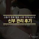 스파루체 이미지