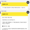 카페우드베어 영통