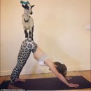 여우요가 이미지