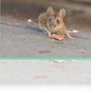 킴스치과의원 이미지