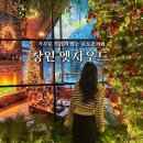 두동다방 | 창원 엣지우드 거꾸로 트리 크리스마스 포토존 카페