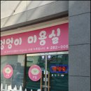 핑크퍼피 | 대전애견미용 핑크퍼피 우리아이스트레스그만