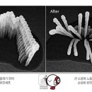 생기나라한의원 이미지