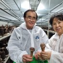 김순덕 농장 이미지