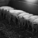 Fed Minutes 과 이번주 증시 동향 이미지