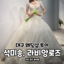 [대구 석미송, 라비앙로즈 웨딩샵] 드레스 투어 방문 후기