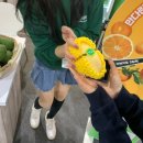 보라3통 | 2025 컬리 푸드 페스타 후기(꿀팁, 퇴장선물, 시식 기념품 ,배치도 주차 포함)