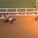 브리더스퀄리티 이미지