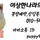 강아지PC 이미지