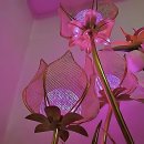 차성남로65번길 | 부산점집 신점 잘 보는 곳 찾는다면 꼭 확인해야 할 선택 기준