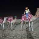 [저녁] 이집트전통벨리댄스 이미지