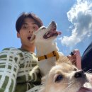 헤피데이