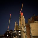 반지로 | 연남/종로 비에브주얼리 반지로 프로포즈 받은 후기