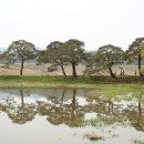 외씨버선길(영양연결구간) 이미지