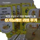 락티브 레몬즙 후기 아침 레몬수 루틴 시작 유기농레몬 솔직 리뷰