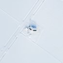 플로리안 이미지