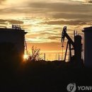 피플케어 이미지