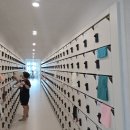 빌더짐 | 판테온짐 부티빌더 24시간헬스장 명지 PT 후기